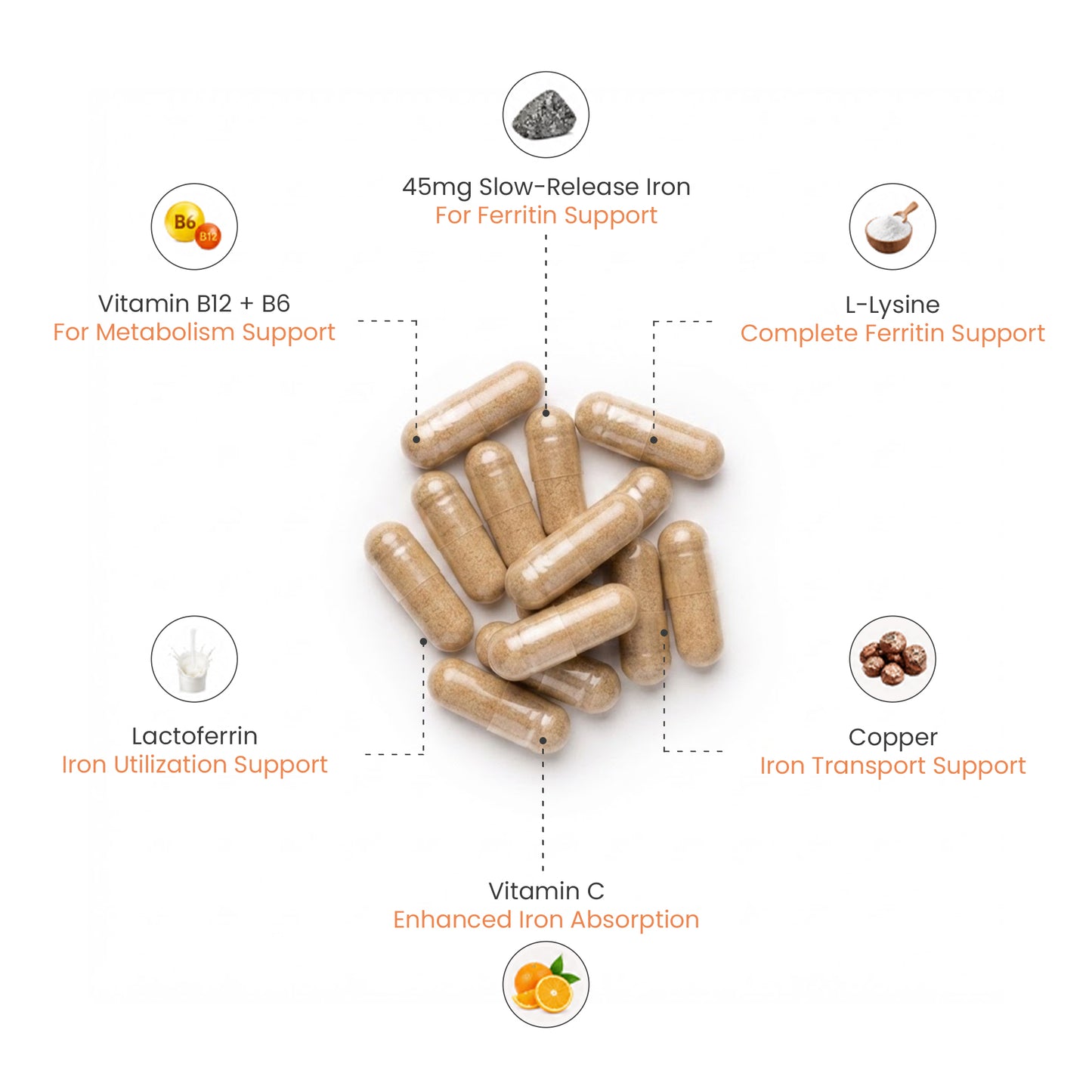 Ferraplus™ Complete Ferritin Complex