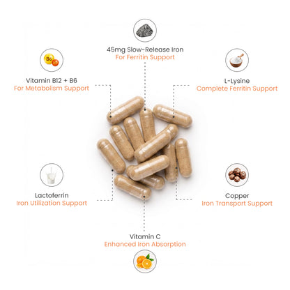 Ferraplus™ Complete Ferritin Complex